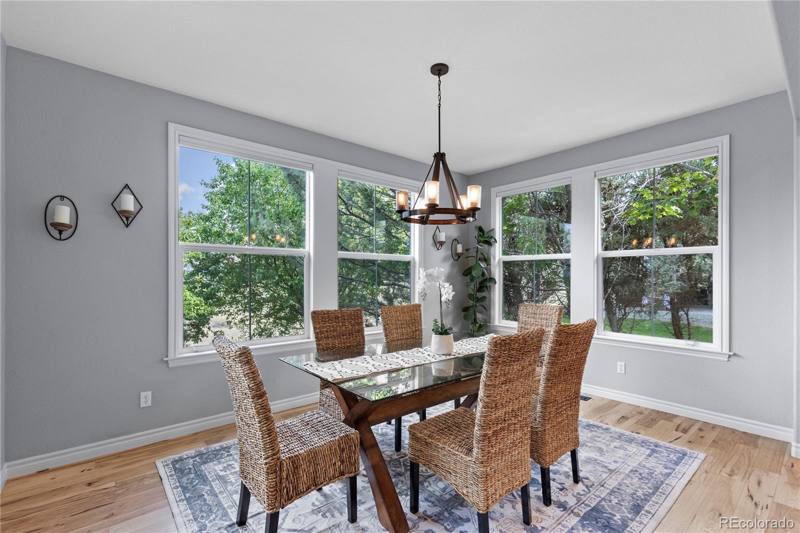 10466 Marigold Court Highlands Ranch CO 80126
