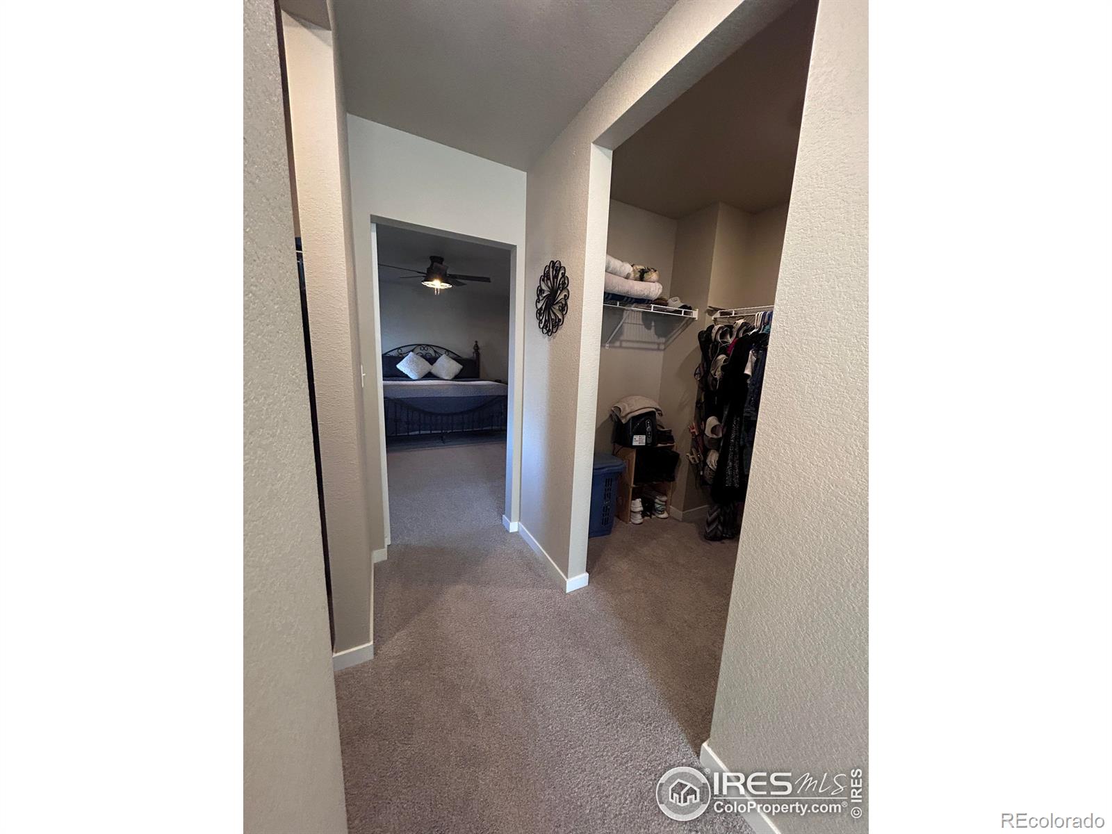 1202 Coyote Lane Wiggins CO 80654