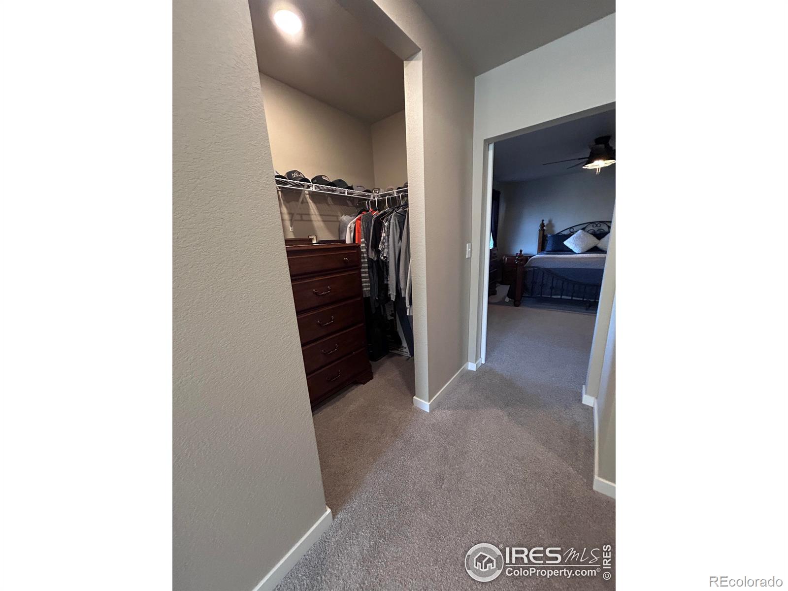 1202 Coyote Lane Wiggins CO 80654