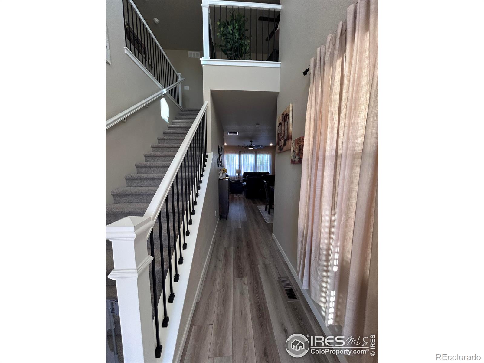 1202 Coyote Lane Wiggins CO 80654