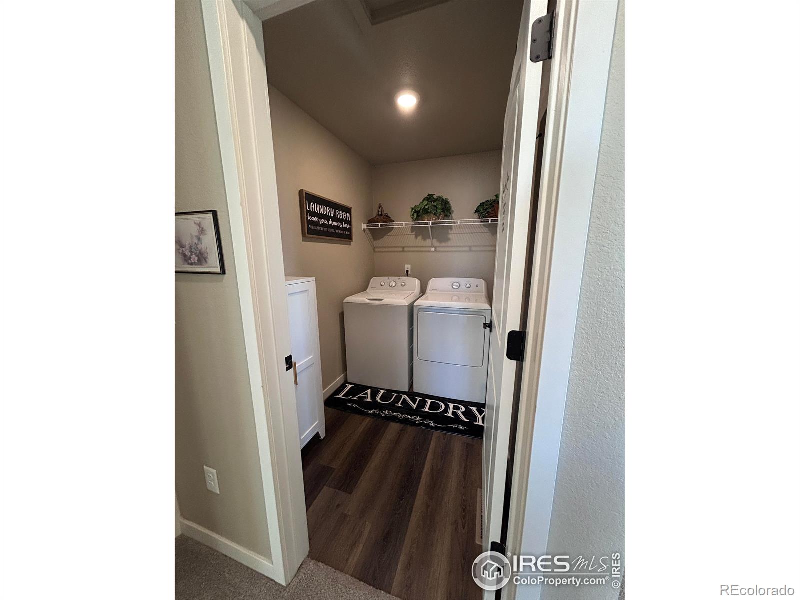 1202 Coyote Lane Wiggins CO 80654