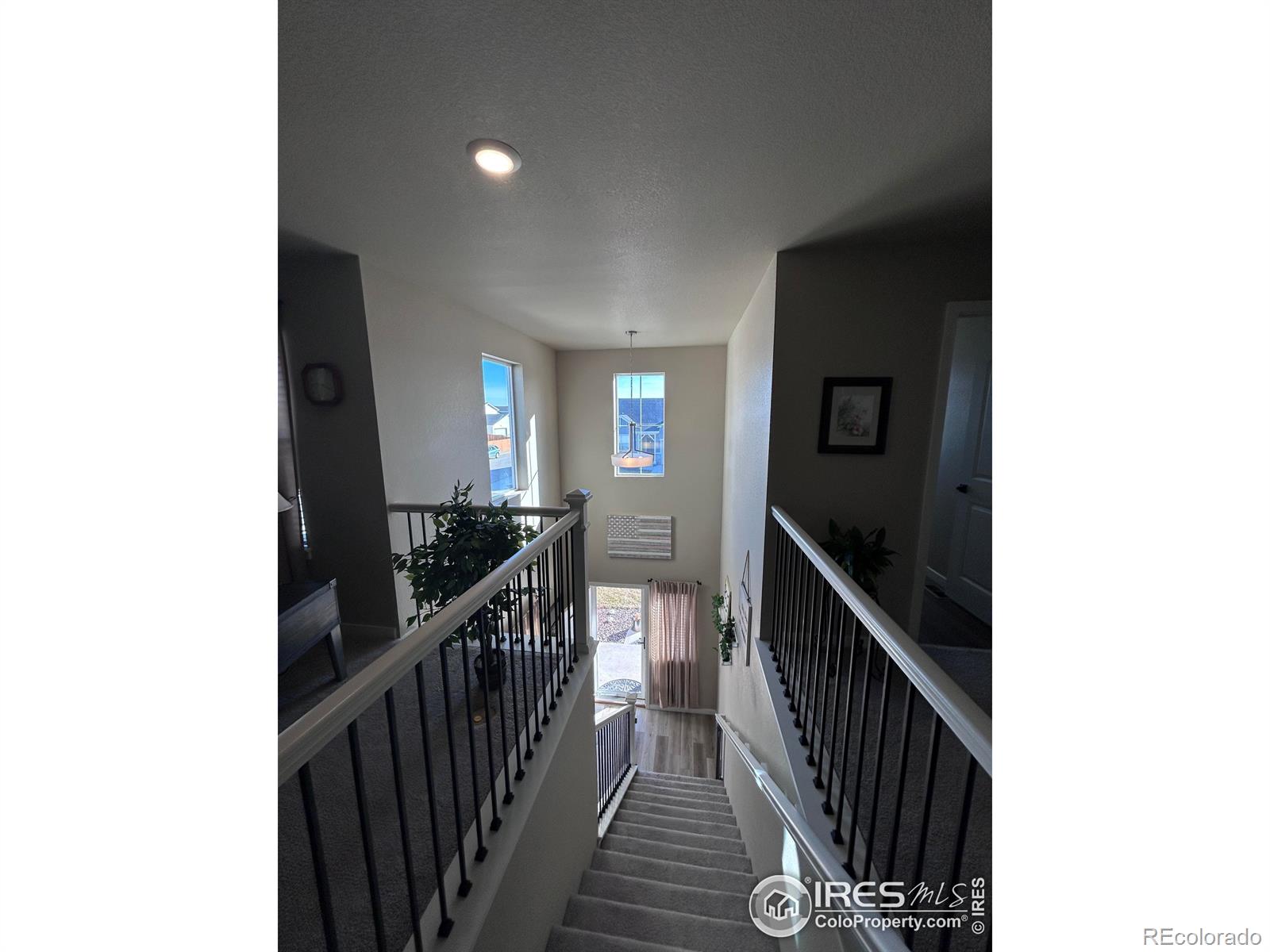 1202 Coyote Lane Wiggins CO 80654