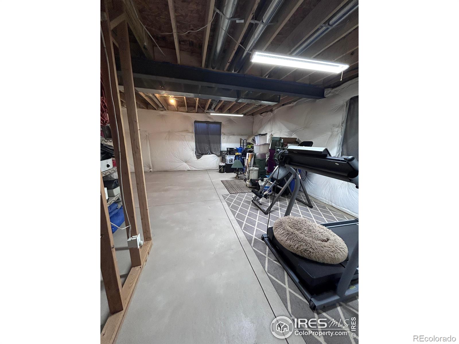 1202 Coyote Lane Wiggins CO 80654