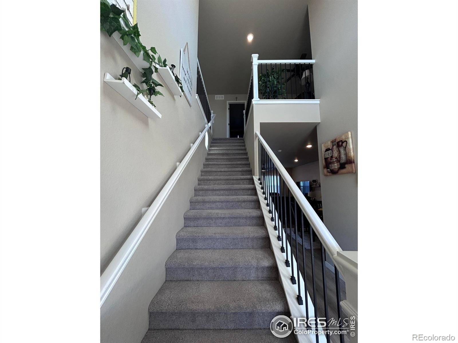 1202 Coyote Lane Wiggins CO 80654