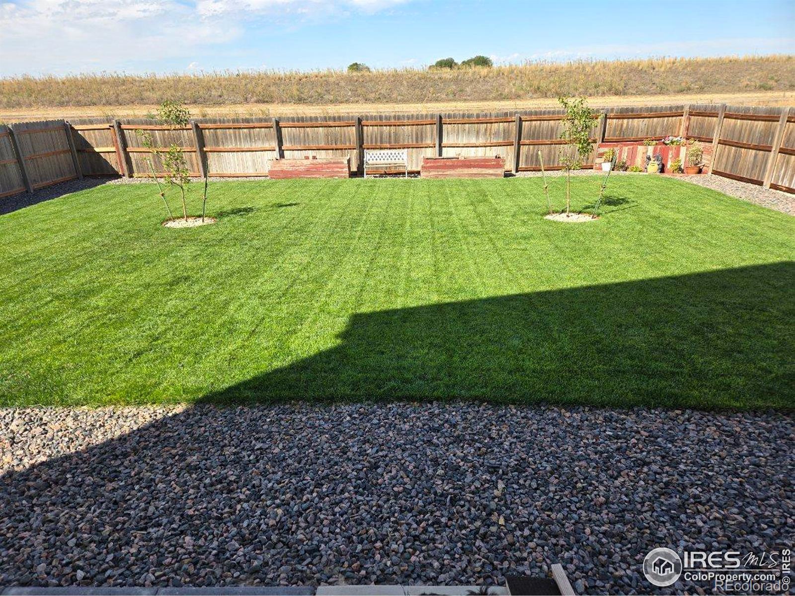 1202 Coyote Lane Wiggins CO 80654