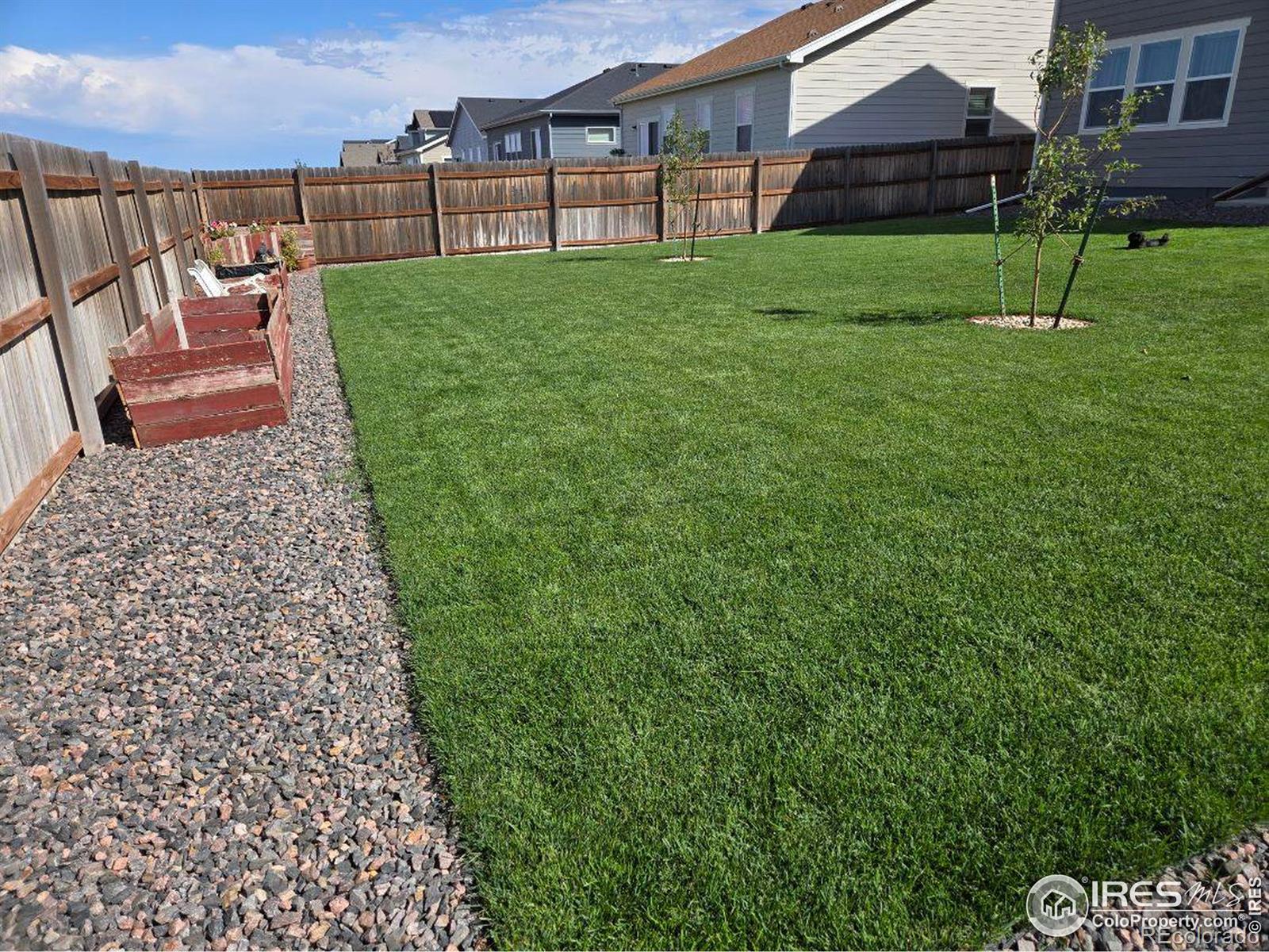 1202 Coyote Lane Wiggins CO 80654