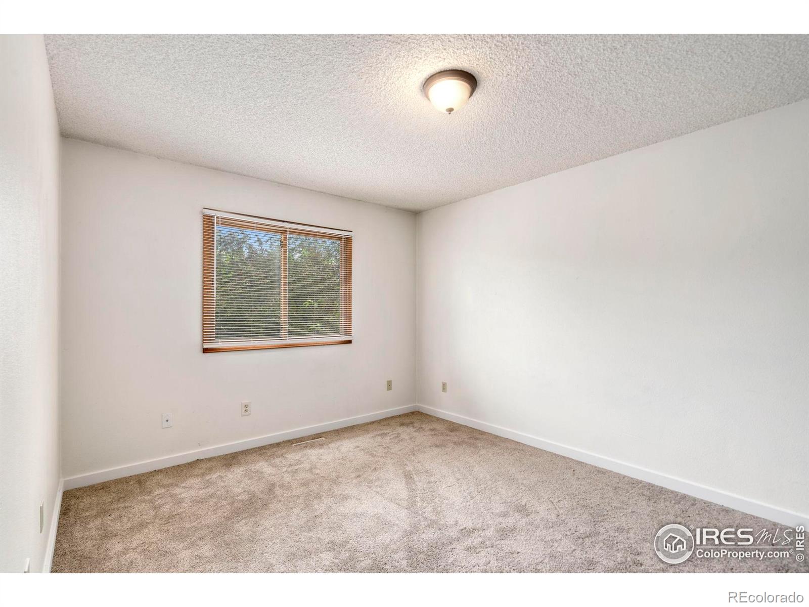 936 Bramblebush Street Fort Collins CO 80524
