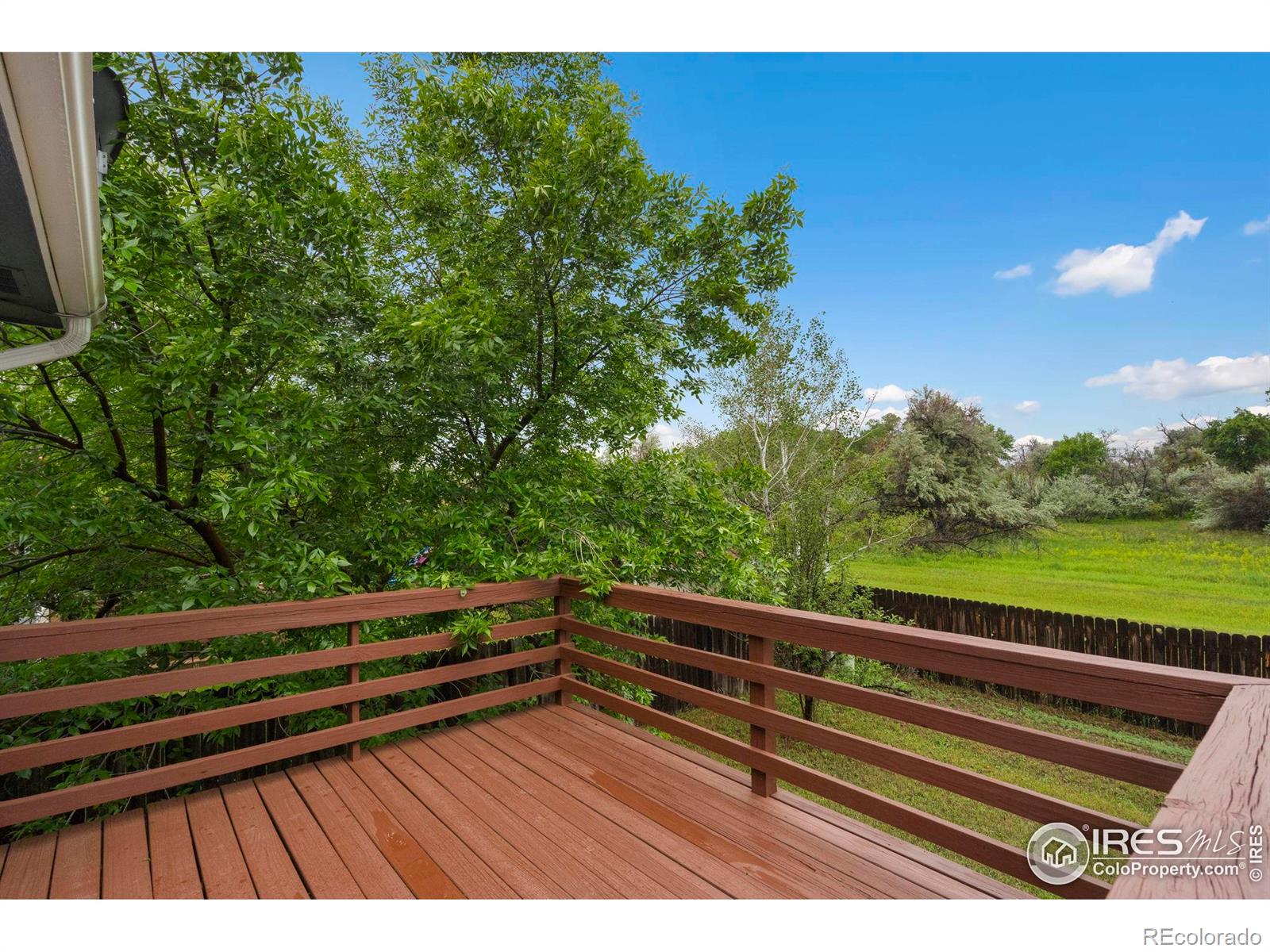 936 Bramblebush Street Fort Collins CO 80524