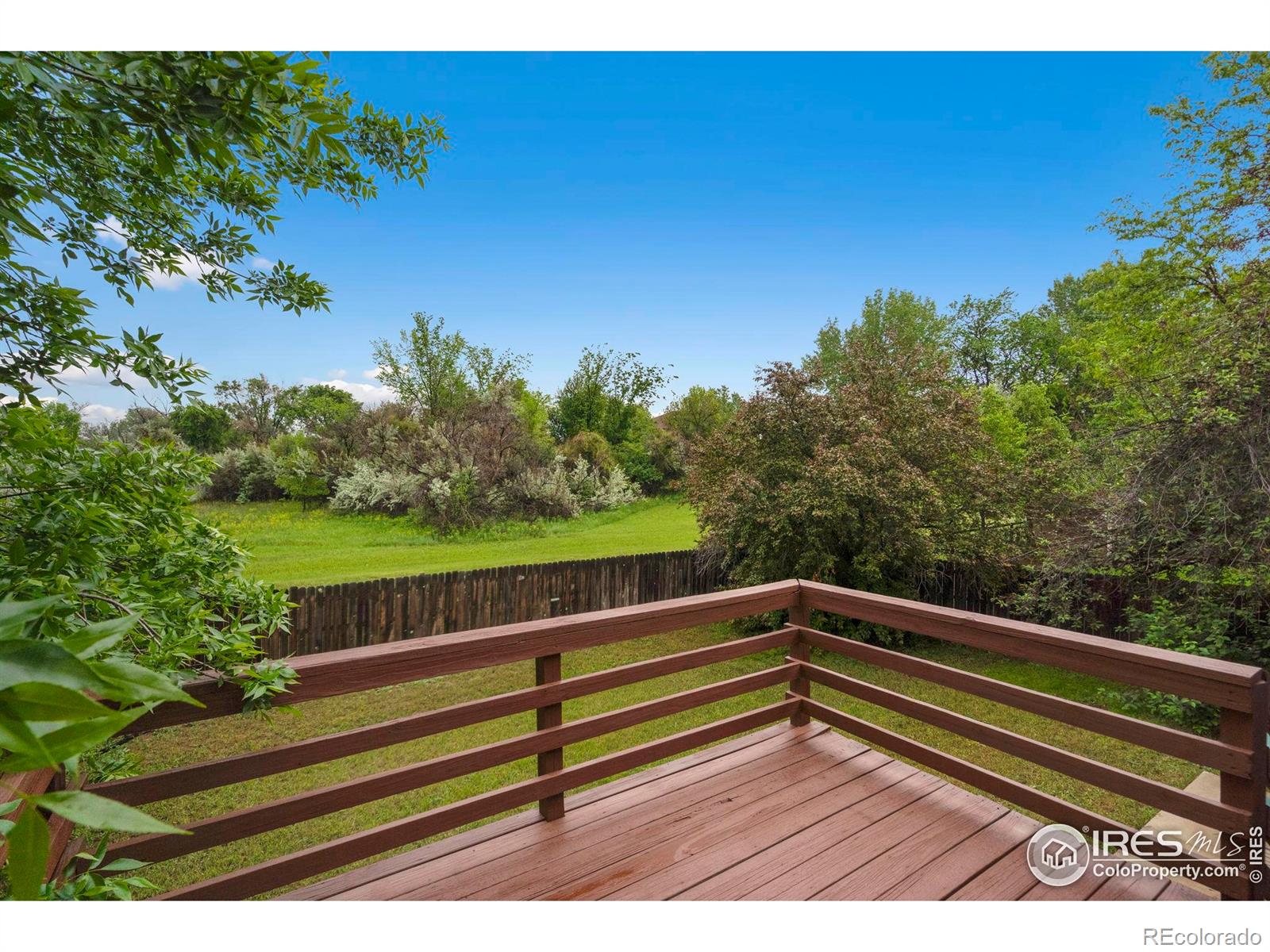 936 Bramblebush Street Fort Collins CO 80524