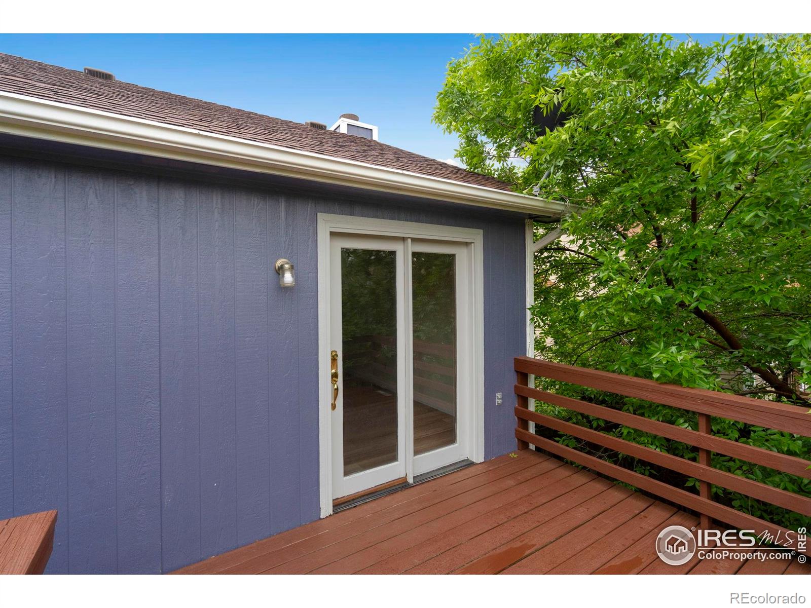 936 Bramblebush Street Fort Collins CO 80524