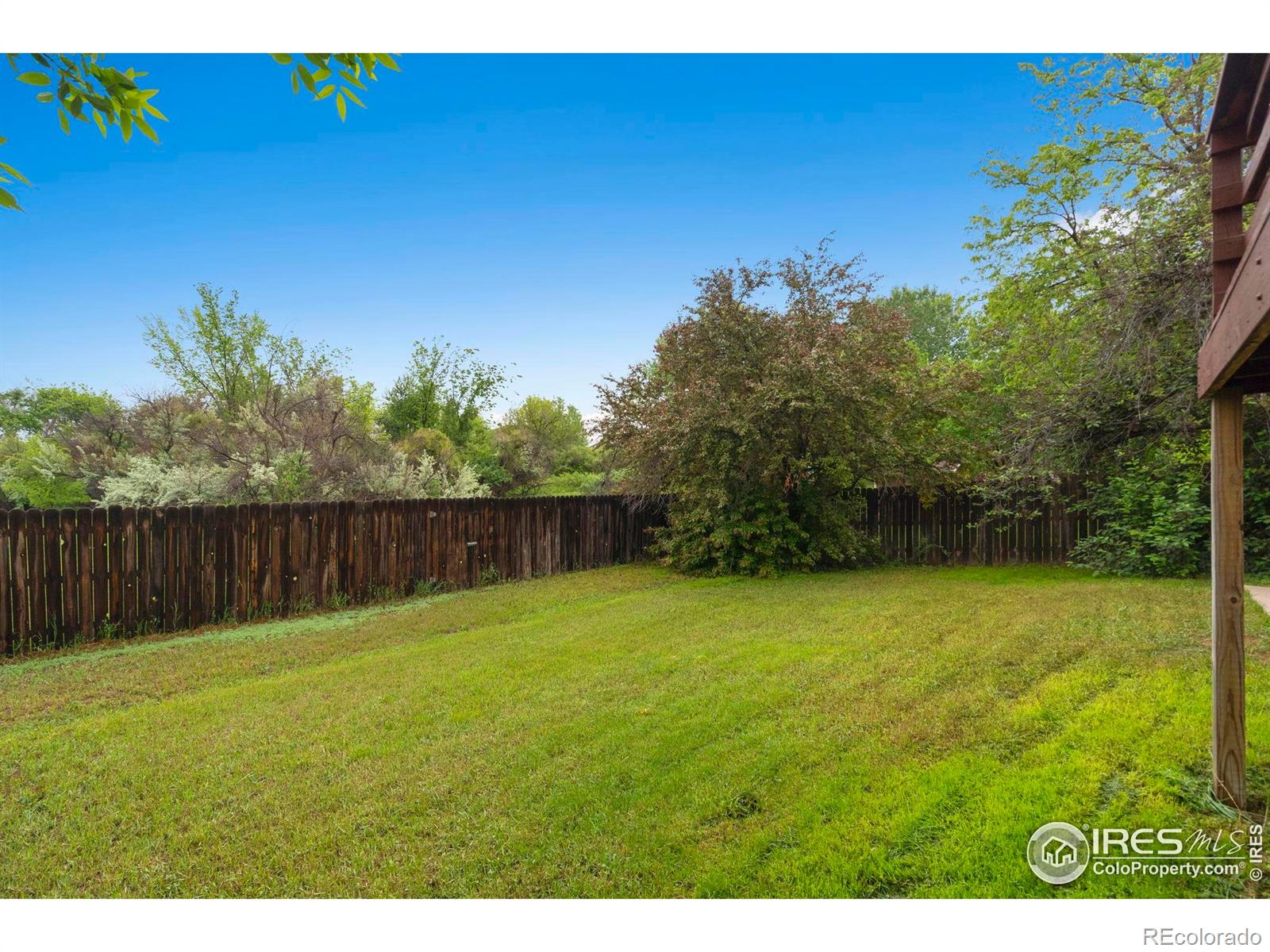936 Bramblebush Street Fort Collins CO 80524