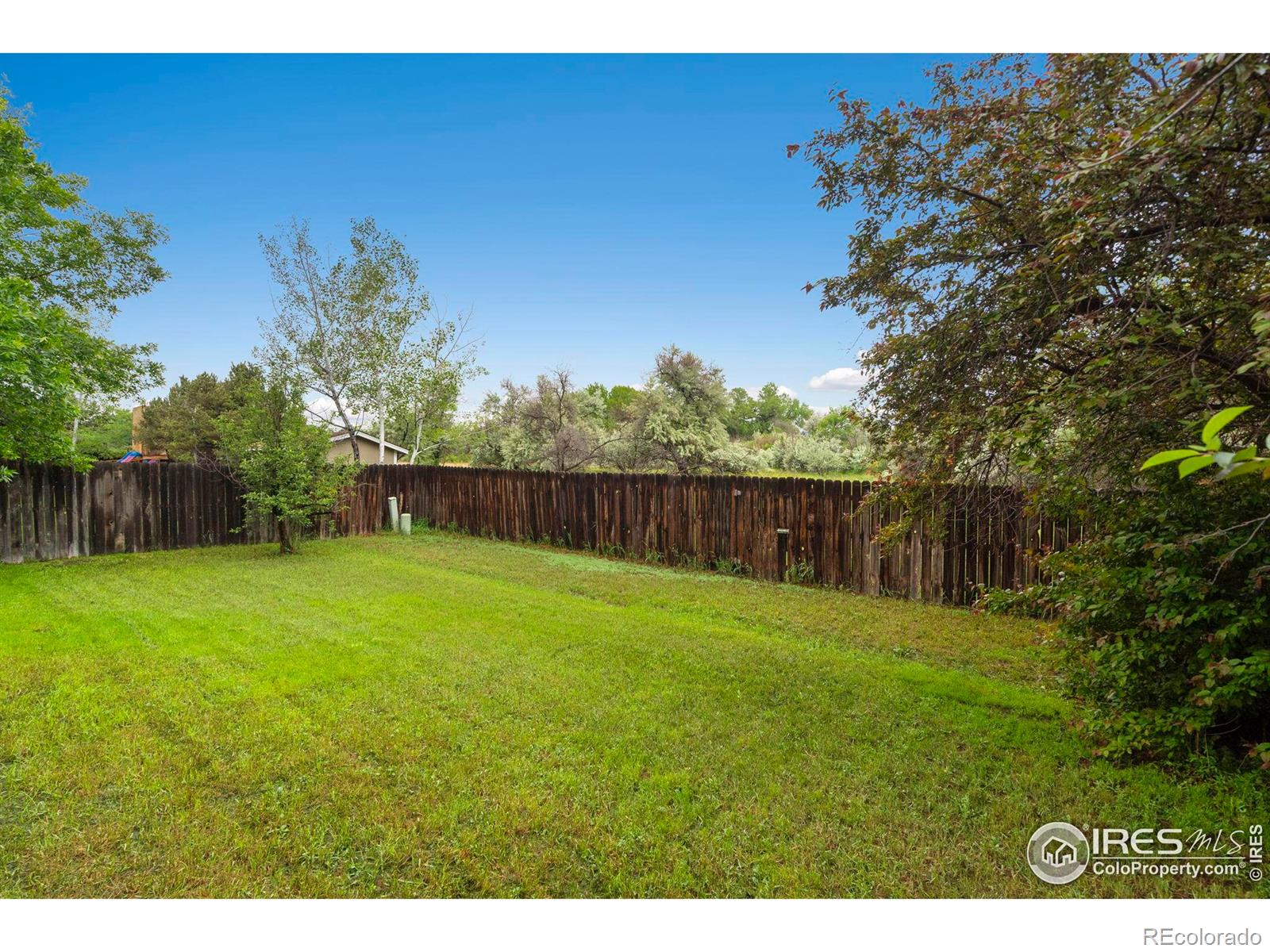 936 Bramblebush Street Fort Collins CO 80524