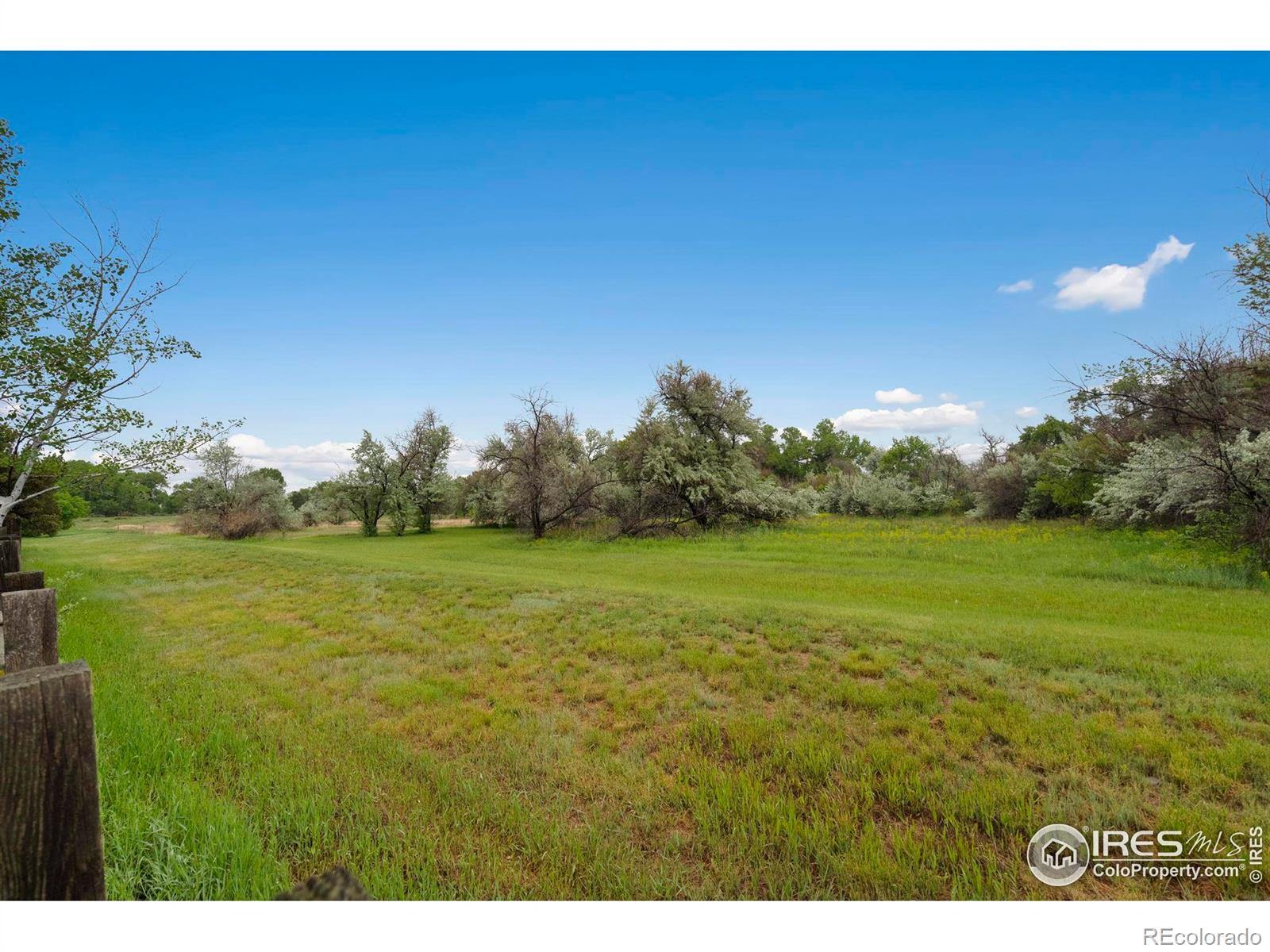 936 Bramblebush Street Fort Collins CO 80524