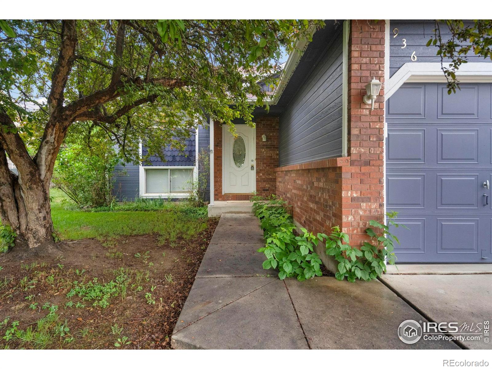 936 Bramblebush Street Fort Collins CO 80524