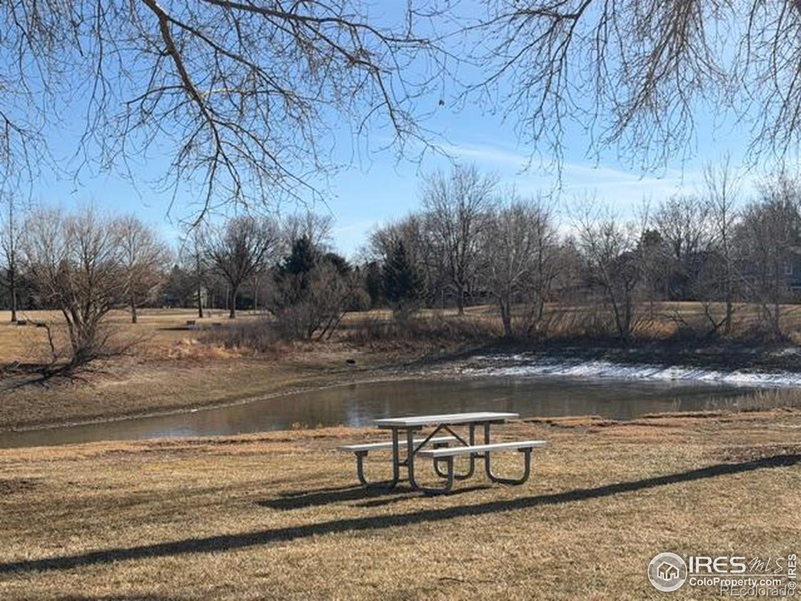 936 Bramblebush Street Fort Collins CO 80524