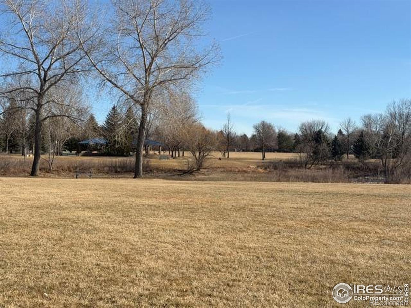 936 Bramblebush Street Fort Collins CO 80524