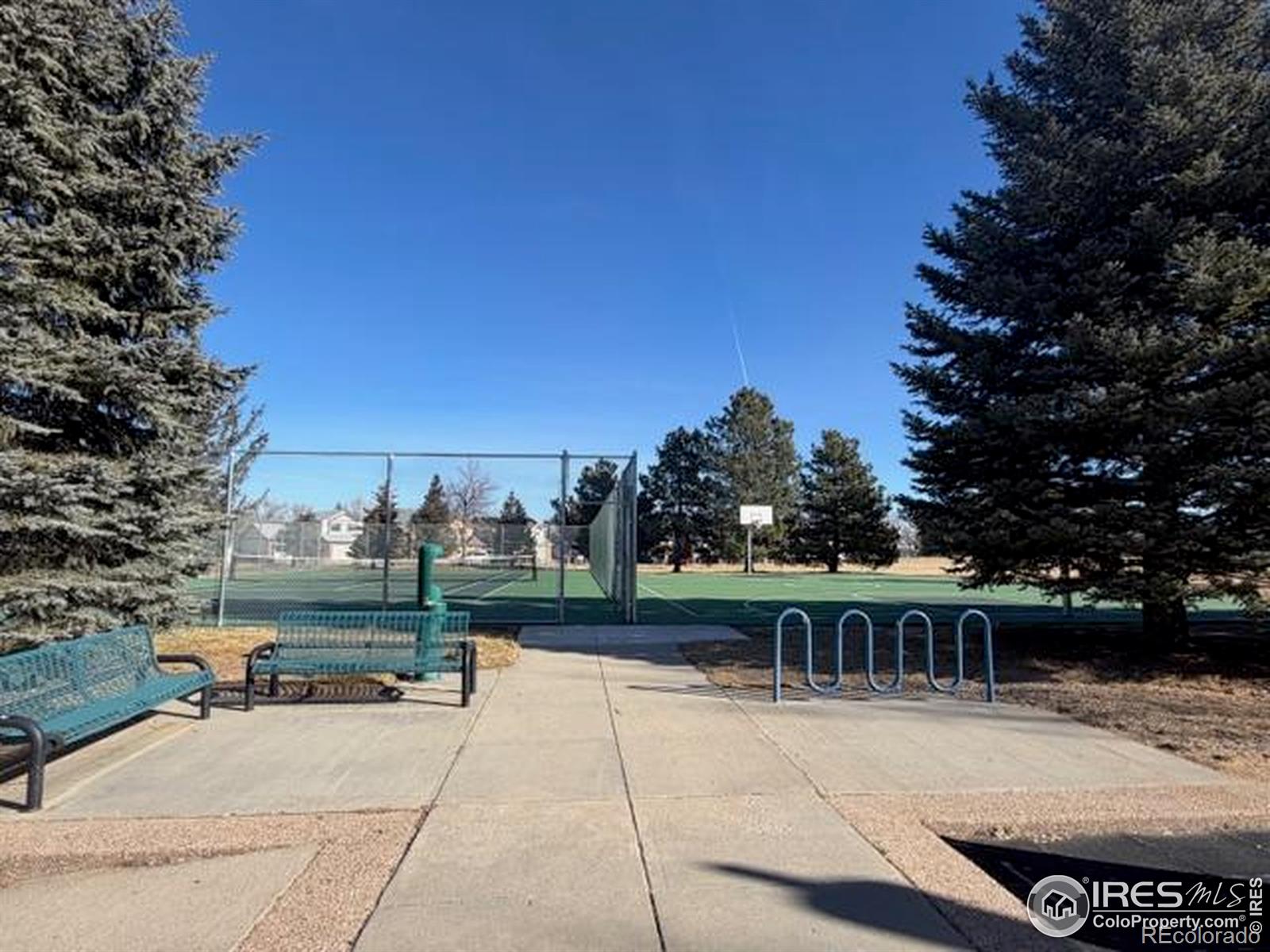 936 Bramblebush Street Fort Collins CO 80524