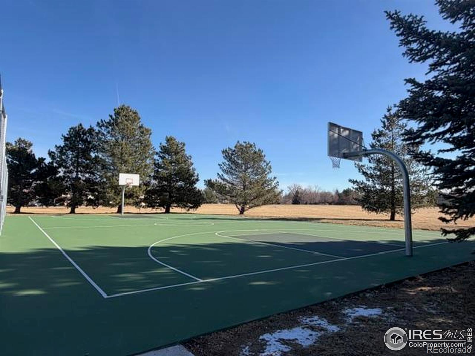 936 Bramblebush Street Fort Collins CO 80524