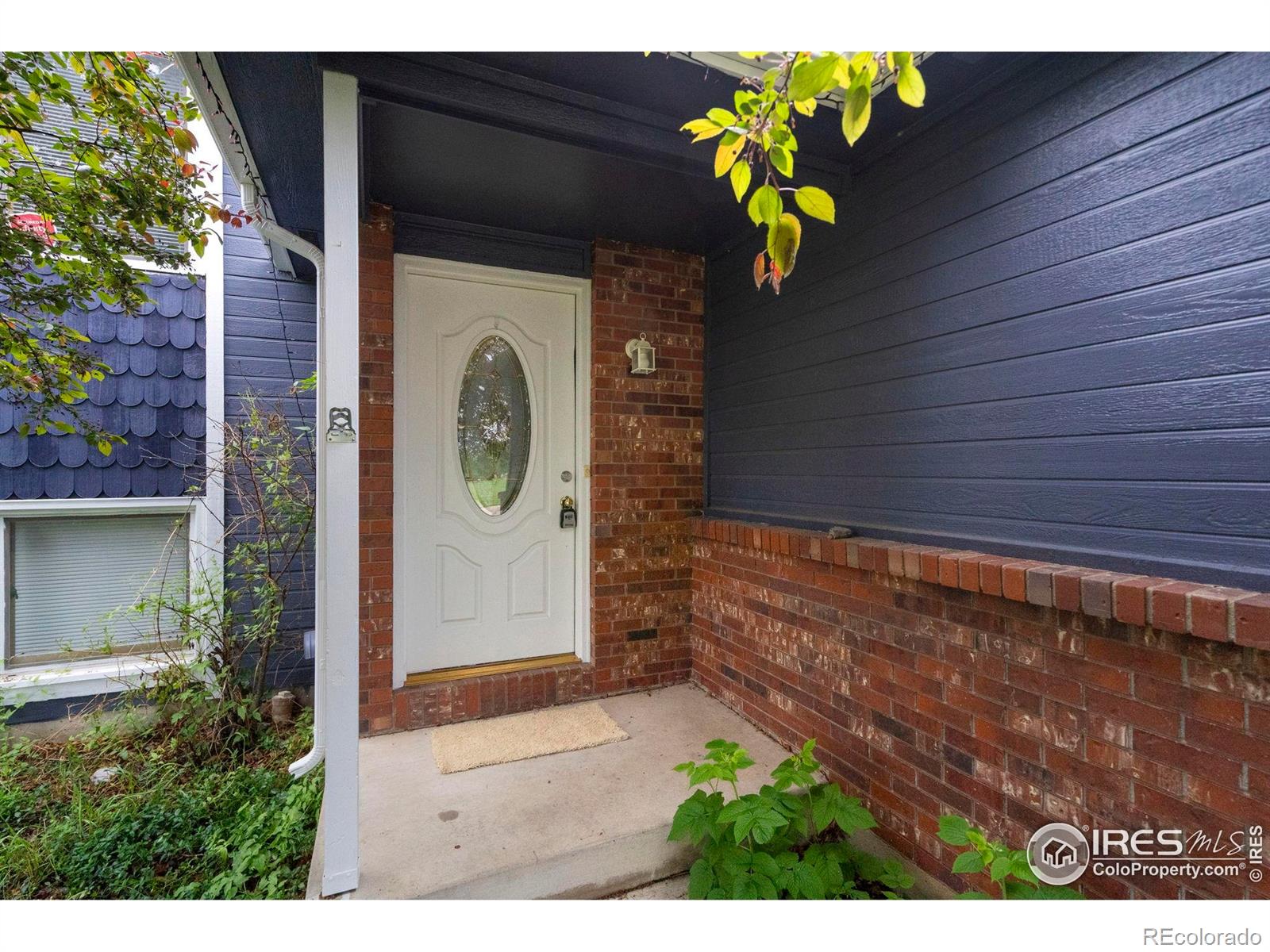 936 Bramblebush Street Fort Collins CO 80524