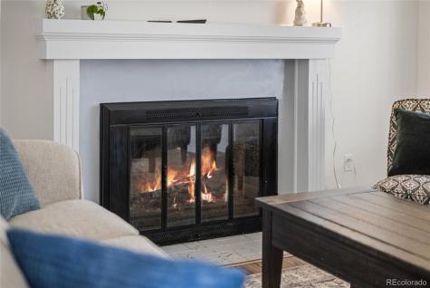 1318 S Biscay Street Aurora CO 80017