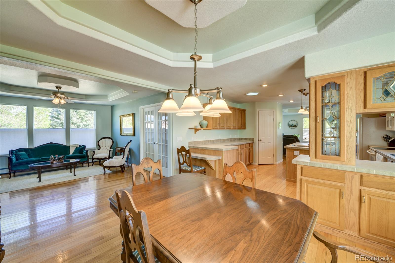 27665 County Road 313 Buena Vista CO 81211