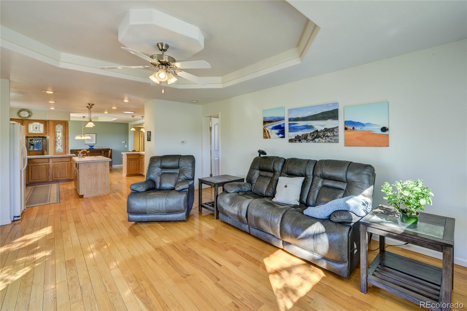 27665 County Road 313 Buena Vista CO 81211