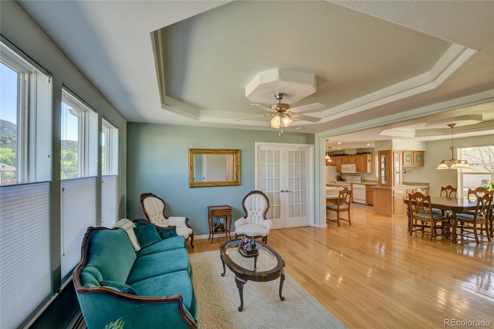 27665 County Road 313 Buena Vista CO 81211