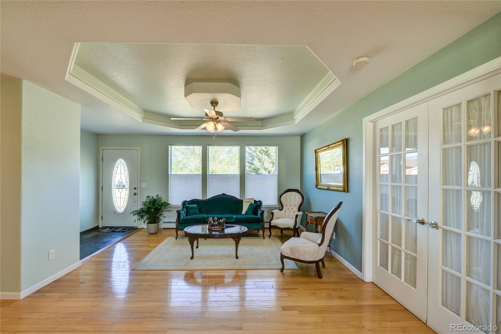 27665 County Road 313 Buena Vista CO 81211