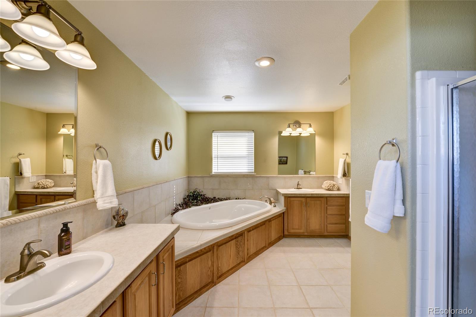 27665 County Road 313 Buena Vista CO 81211