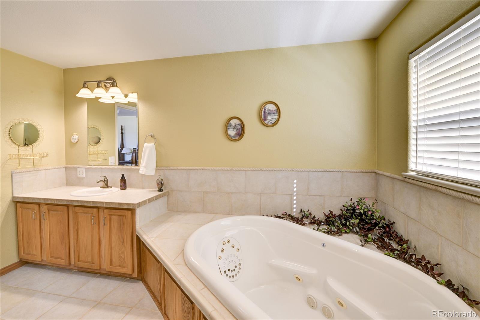 27665 County Road 313 Buena Vista CO 81211