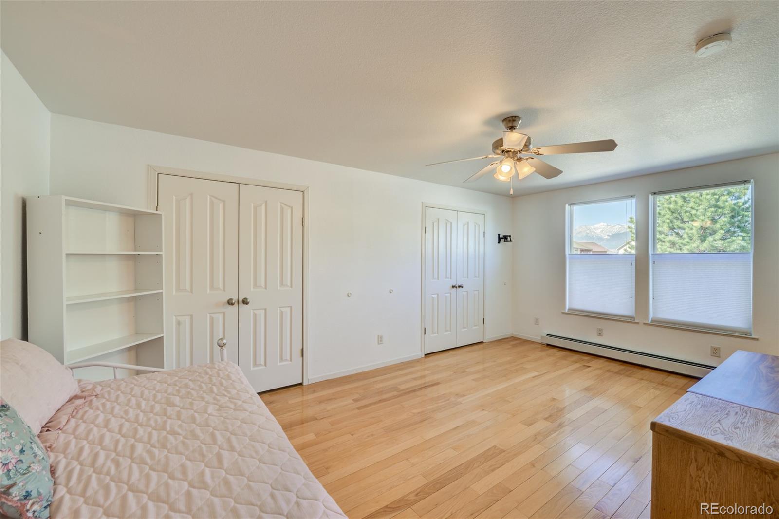 27665 County Road 313 Buena Vista CO 81211