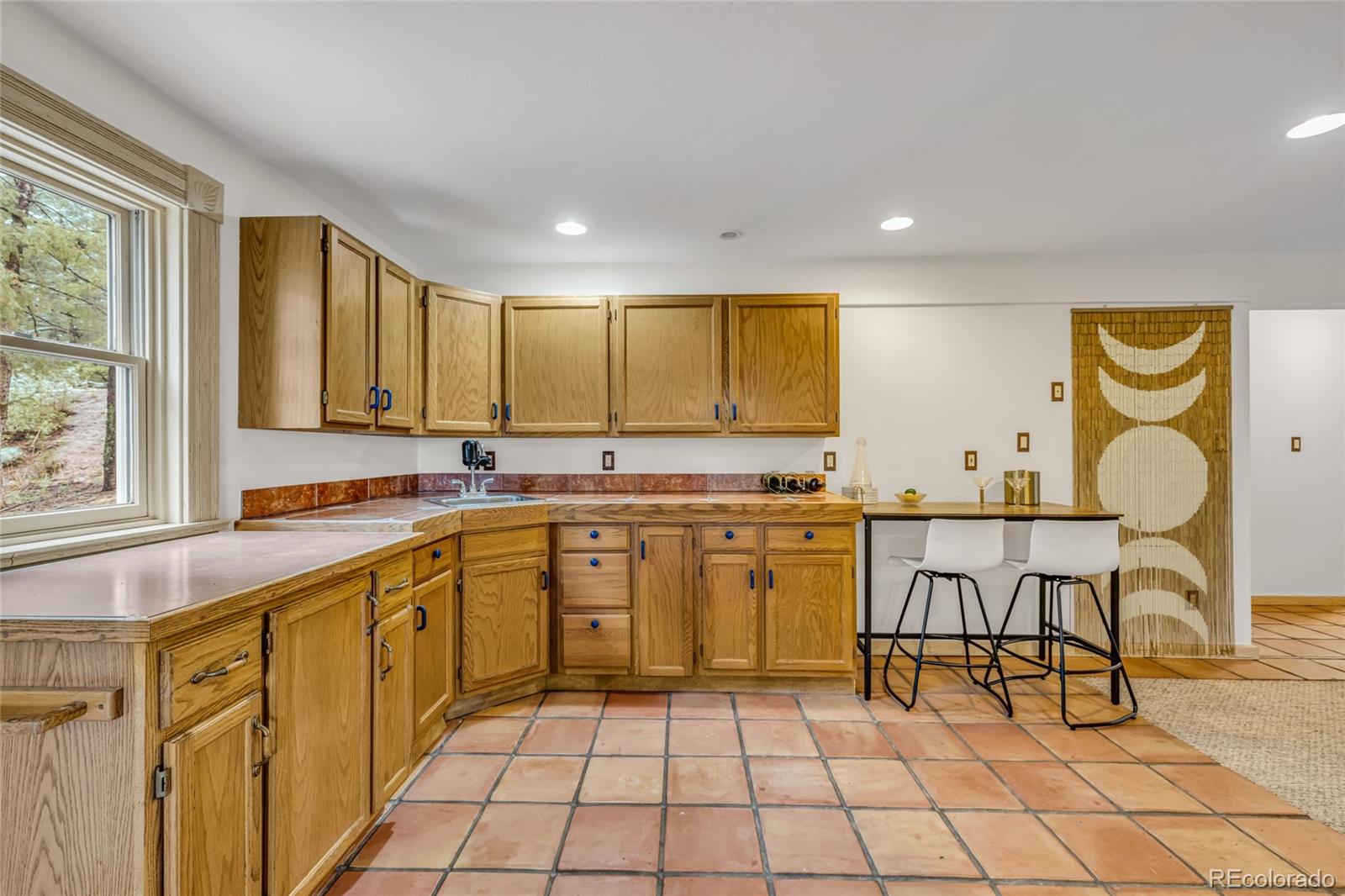 4771 S Breakaway Trail Evergreen CO 80439