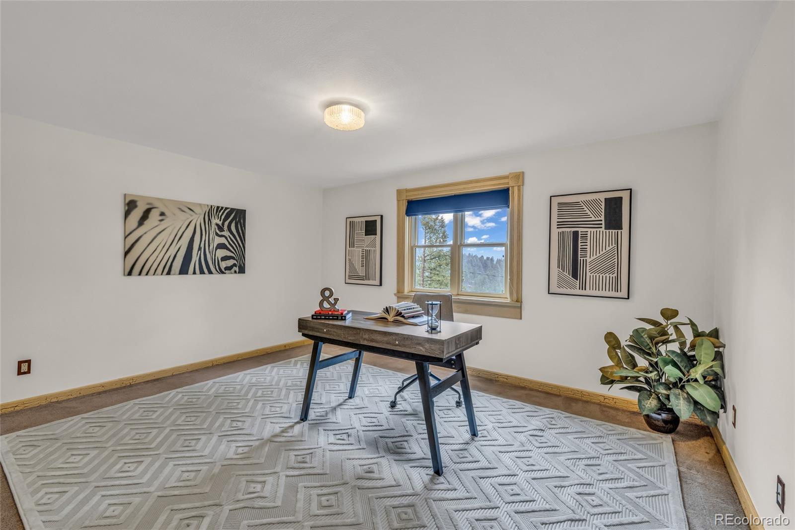 4771 S Breakaway Trail Evergreen CO 80439