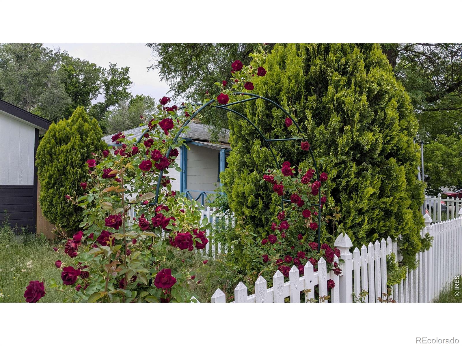 127 E Saint Clair Avenue Longmont CO 80504
