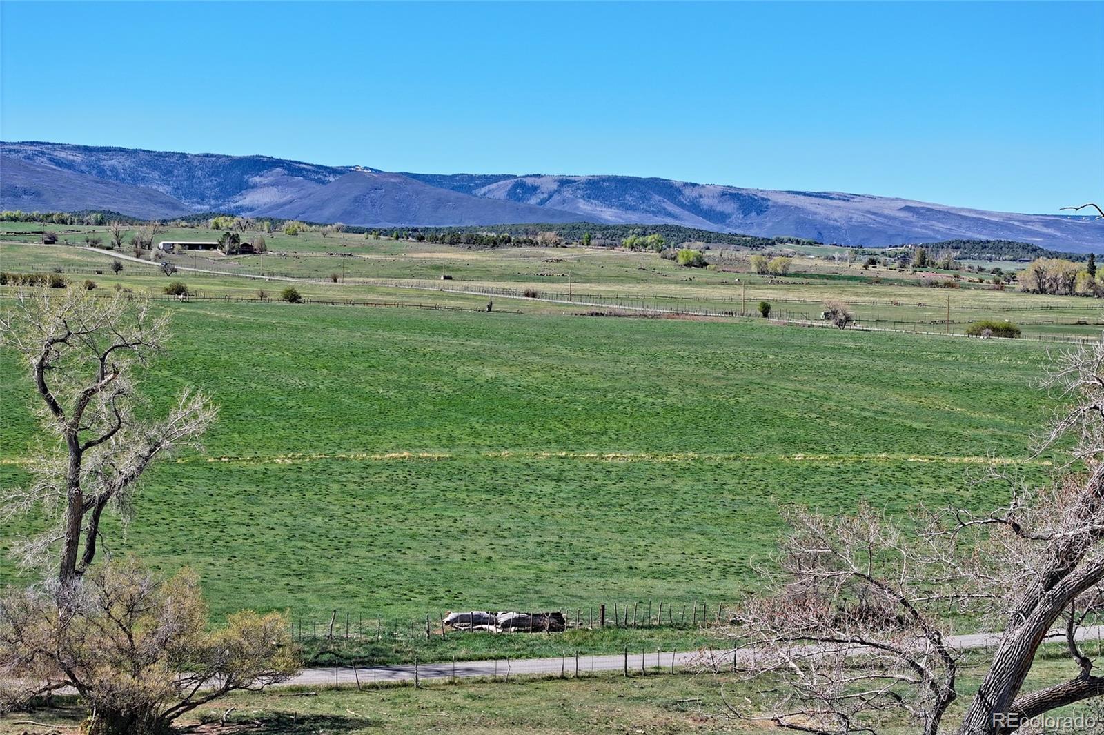 58749 Oe Road Collbran CO 81624
