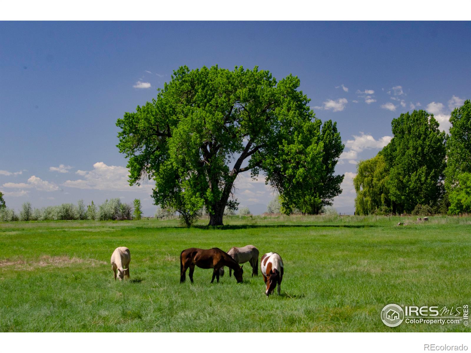 5513 E Highway 14 Fort Collins CO 80524