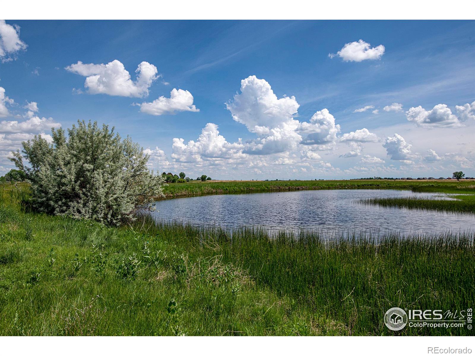 5513 E Highway 14 Fort Collins CO 80524