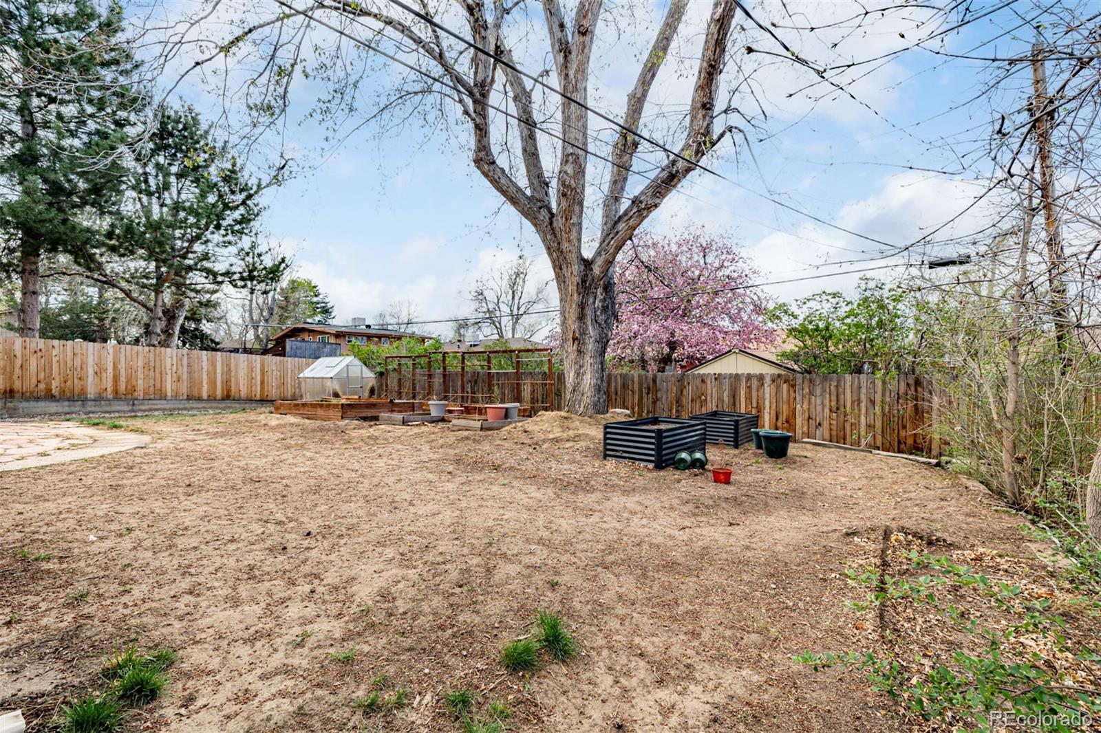 4725 Quay Street Wheat Ridge CO 80033