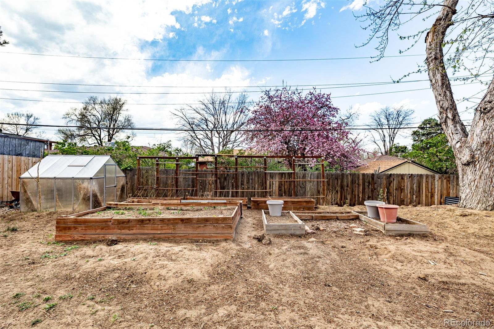 4725 Quay Street Wheat Ridge CO 80033