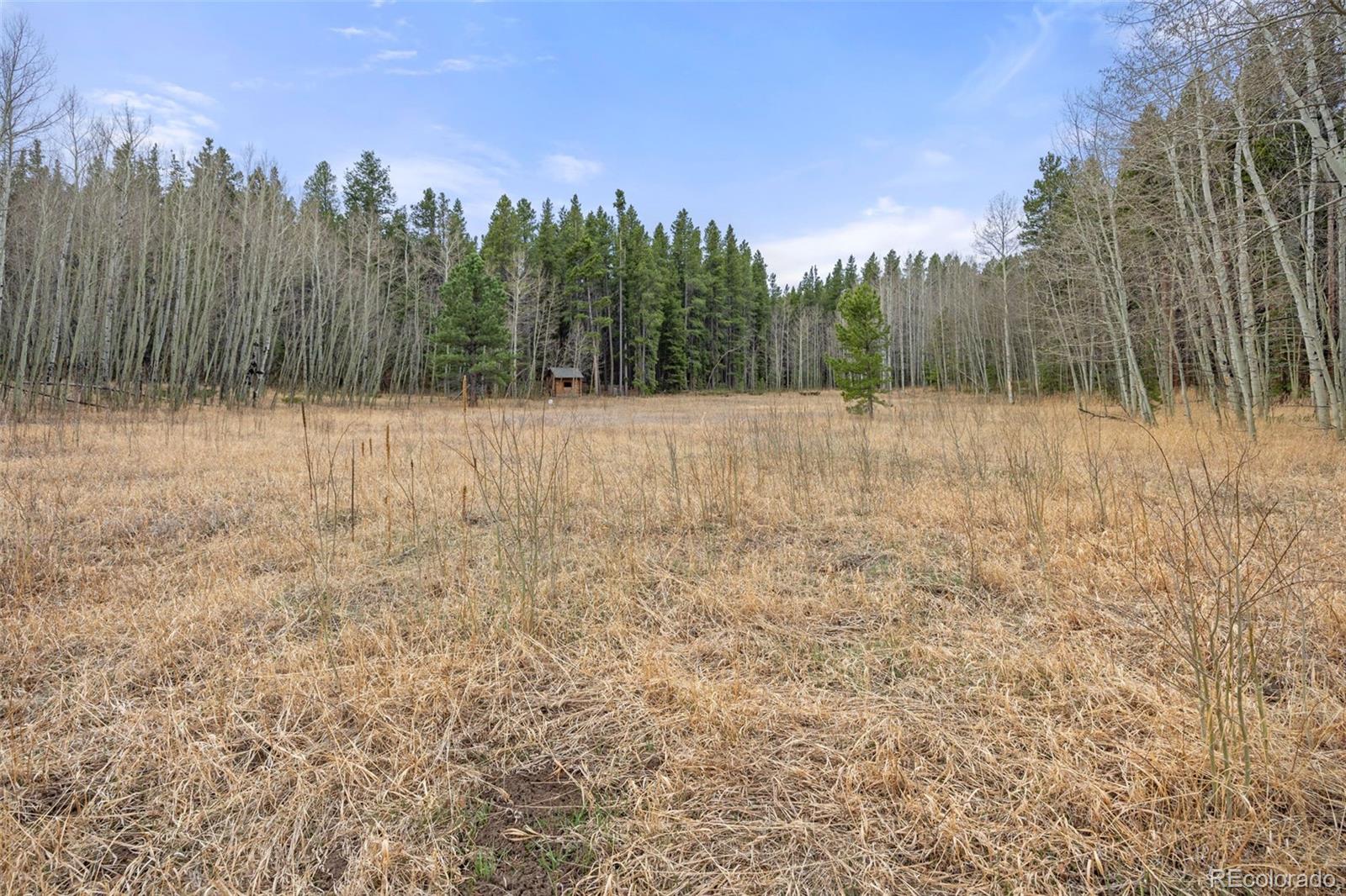 438 N County Road Rollinsville CO 80474