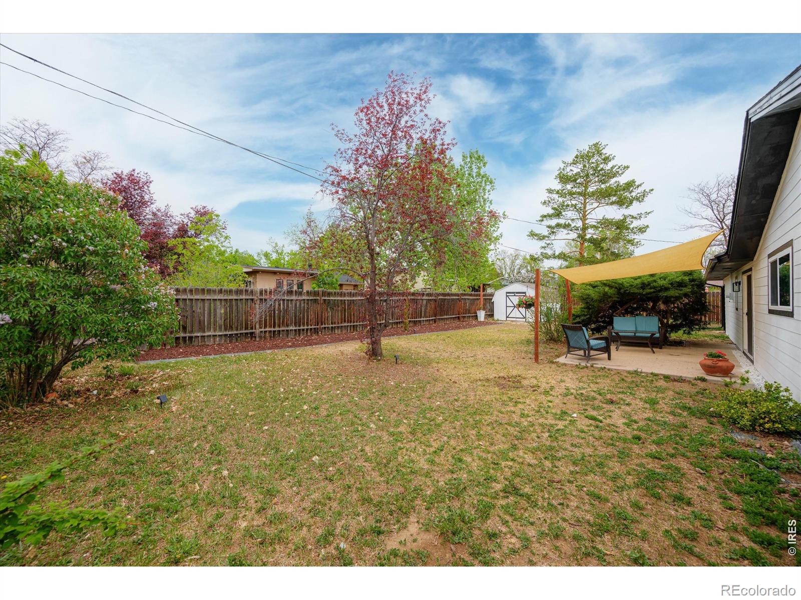 909 Willshire Drive Fort Collins CO 80521