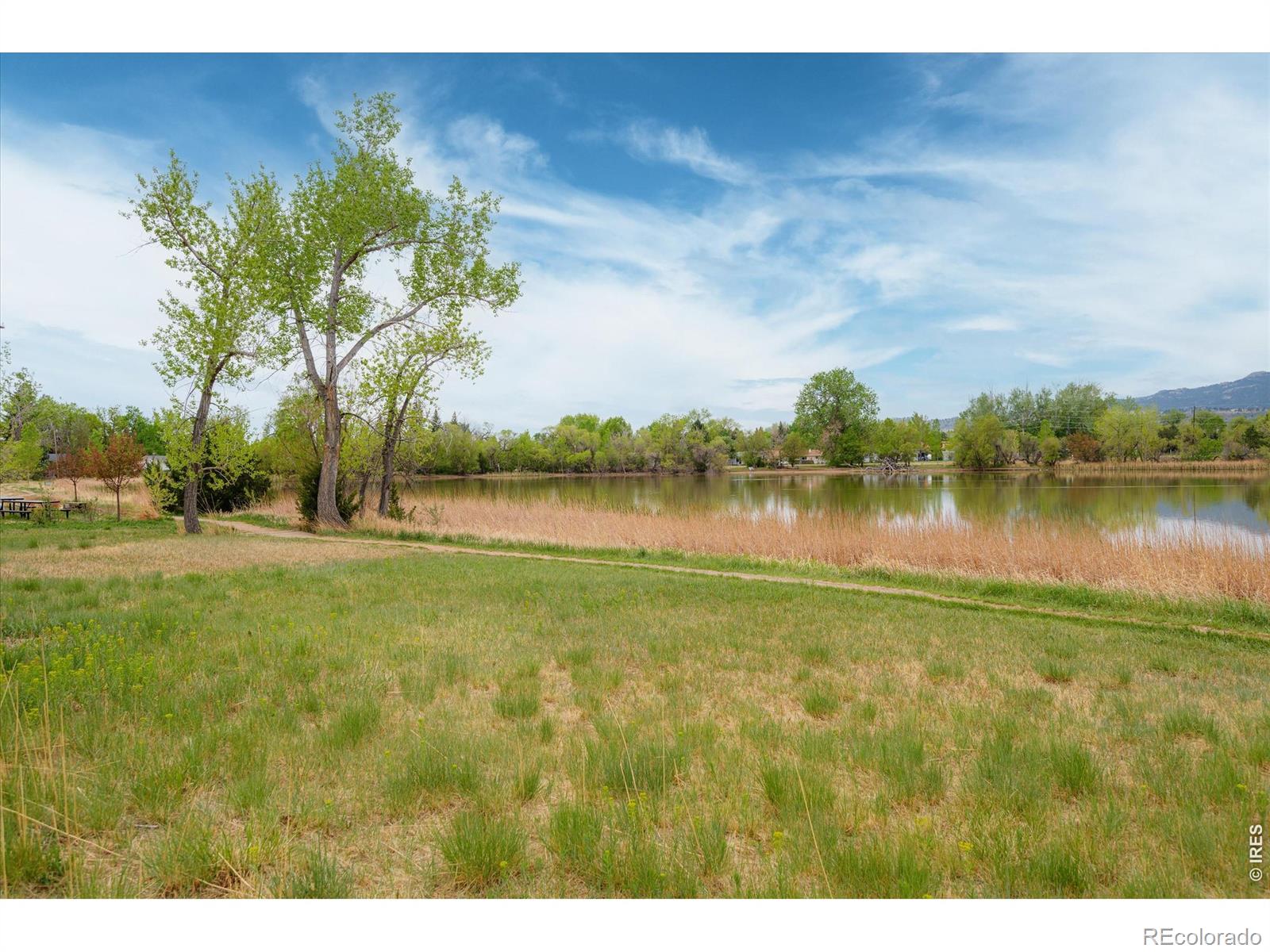 909 Willshire Drive Fort Collins CO 80521