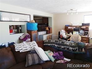 10795 County Road 197 A Unit 105 Nathrop CO 81236