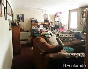 10795 County Road 197 A Unit 105 Nathrop CO 81236