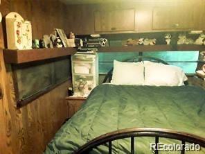 10795 County Road 197 A Unit 105 Nathrop CO 81236