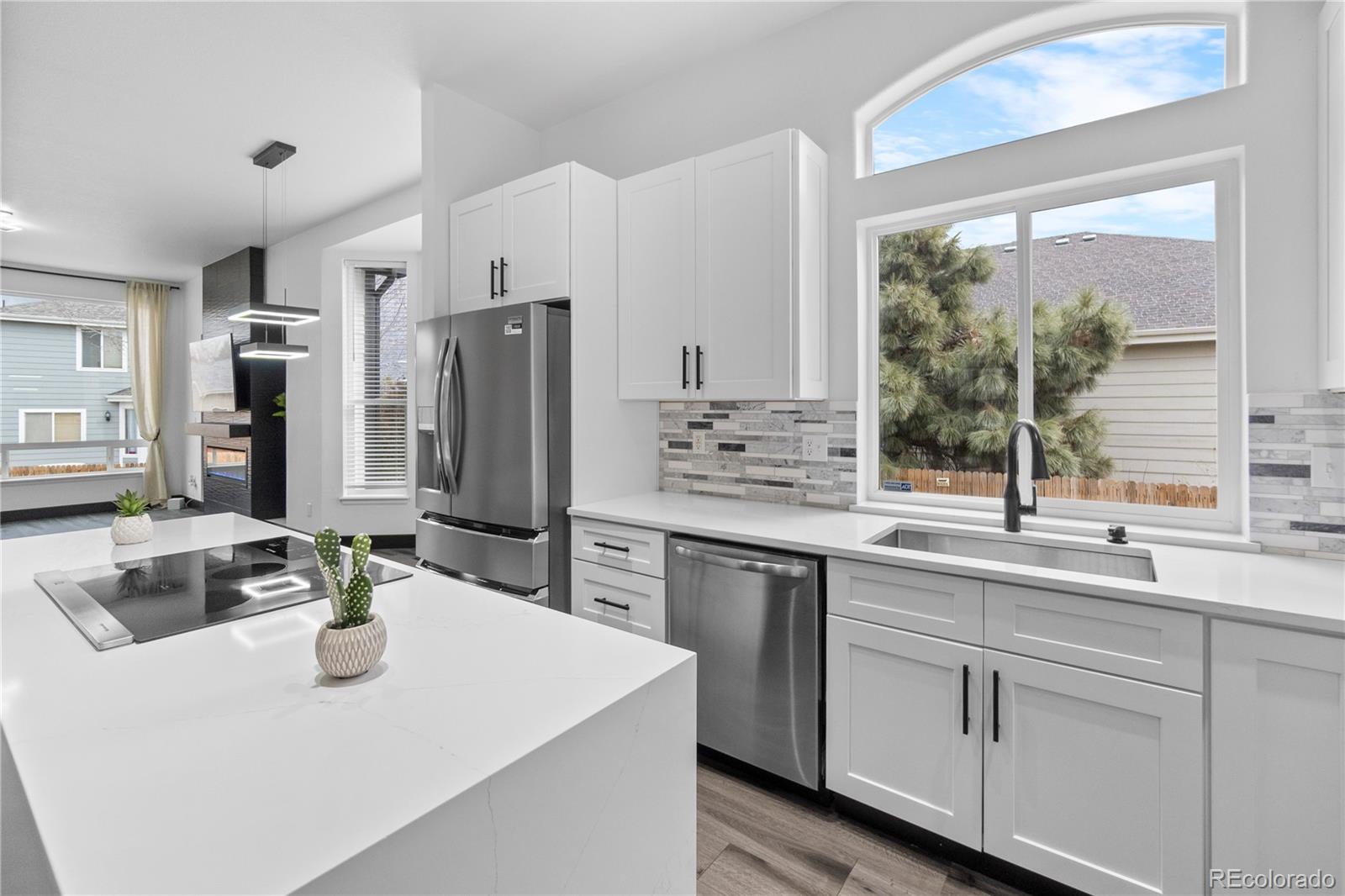 17161 E Dewberry Drive Parker CO 80134