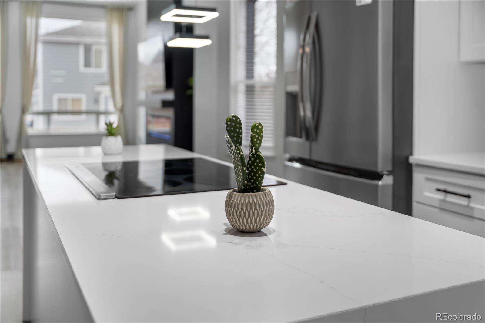 17161 E Dewberry Drive Parker CO 80134