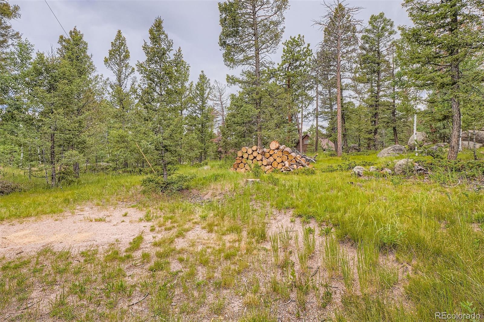 30520 Rand Road Conifer CO 80433