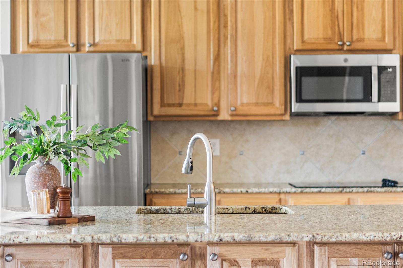 23299 Barnsley Lane Parker CO 80138