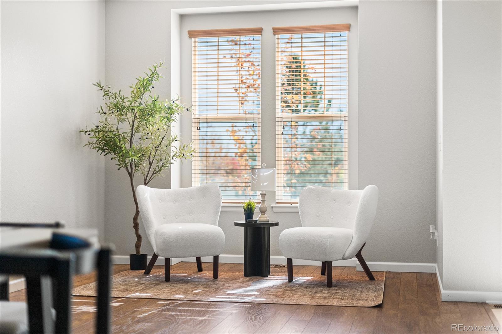 23299 Barnsley Lane Parker CO 80138